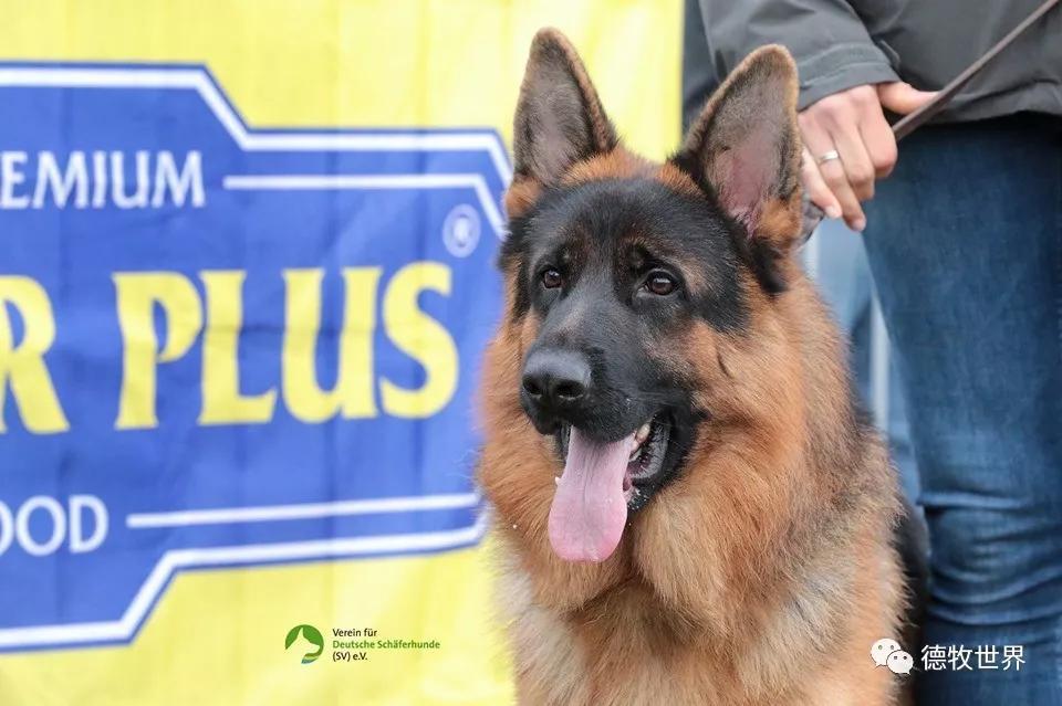 Kaiyun中国官网-karsa去了哪个队